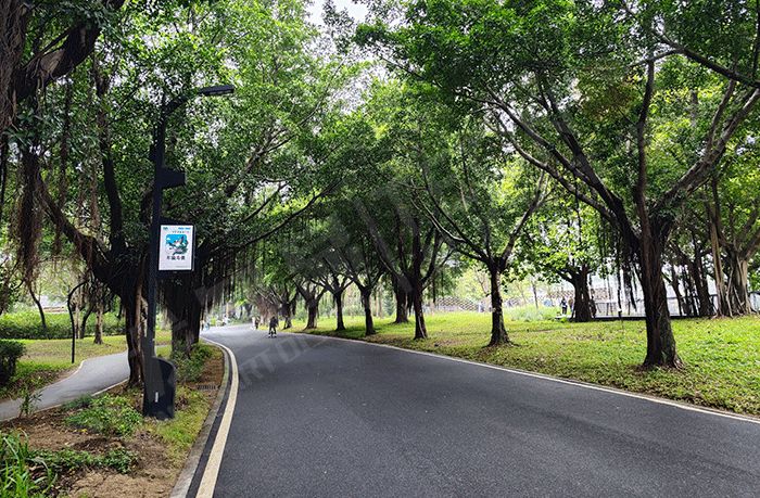 LED灯杆屏产业链上下游协同发力，从“头”深化智慧城市概念