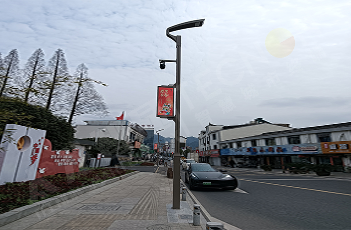 浙江宁波奉化县道上的智慧灯杆600x1200双面LED灯杆屏点亮后.jpg