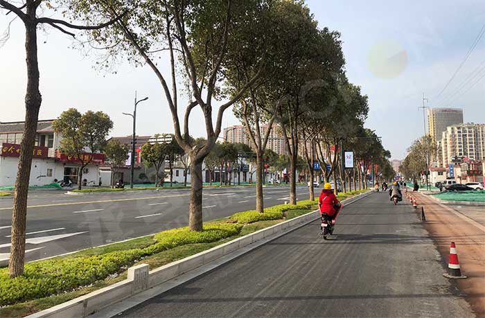 扬州高邮屏淮路P4系列LED灯杆屏.jpg